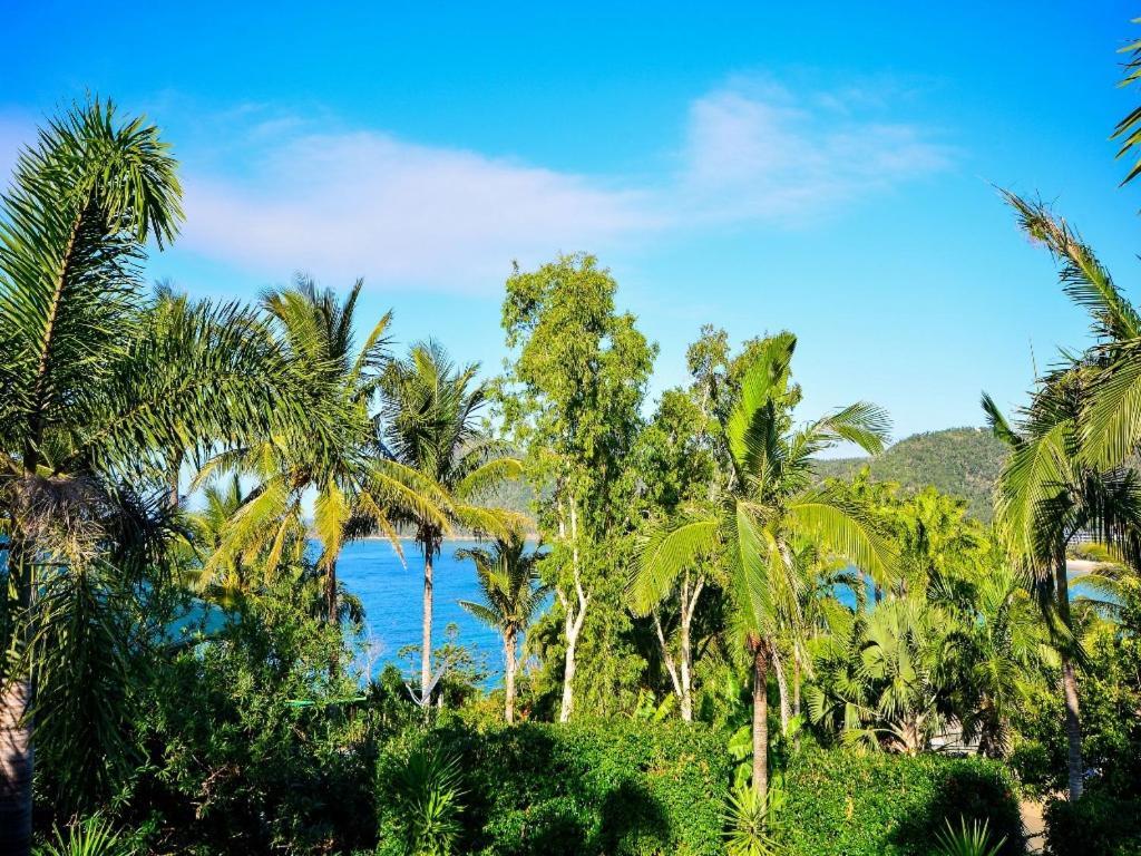 The Palms On Hamilton Island Villa Bagian luar foto