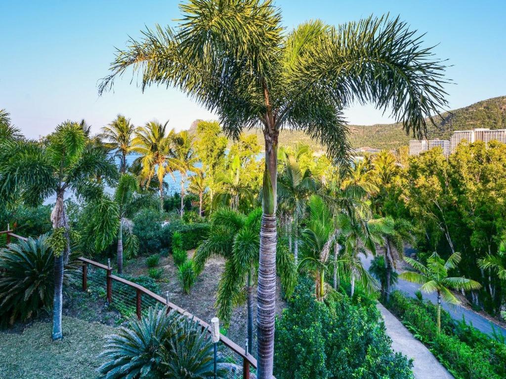 The Palms On Hamilton Island Villa Bagian luar foto